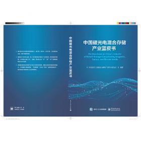 2019—2020中国信息通信业发展分析报告