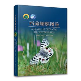 西藏统计年鉴（2017总第29期 附光盘）