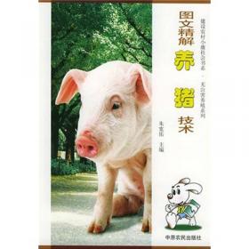 猪速效养殖技术