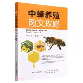 中蜂生态养殖技术（“金土地”新农村书系.特种养殖编）