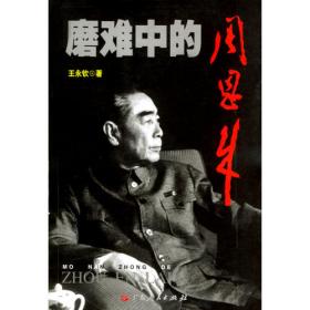 中国地方政府融资平台的经济学：效率、风险与政策选择