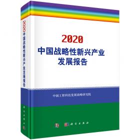 中国战略性新兴产业发展报告2017