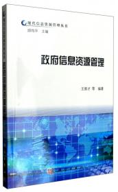 现代信息资源管理丛书：信息咨询与决策