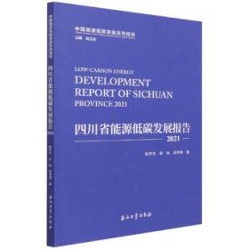 四川美术史（下）