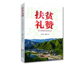 扶贫机制创新的理论与实践/中国扶贫攻坚前沿问题研究丛书