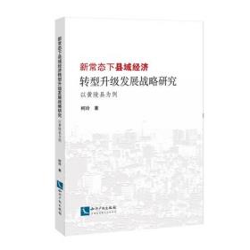 民营企业产业创新与人才管理机制优化研究：以湖北咸宁高新区为例