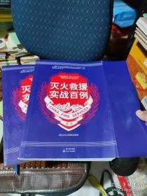 灭火：美国金融危机及其教训