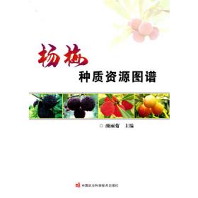 杨梅优良品种与高效栽培技术