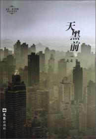 文汇麦杰珂新锐作家系列：刻舟记