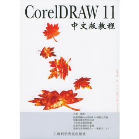 IIIustrator CS2中文版100例