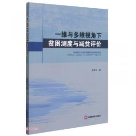 一维纳米结构材料：概念、应用和展望（英文版）