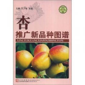 甜油桃高产栽培技术