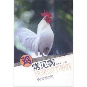 鸡常见病防治手册（富民要术丛书）
