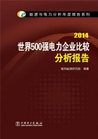 2010国外电力市场化改革分析报告