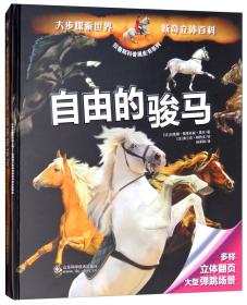 骑士的荣耀/拉鲁斯科普黑皮书系列