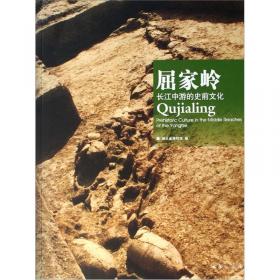 屈家岭文化：20世纪中国文物考古发现与研究丛书(第二辑）
