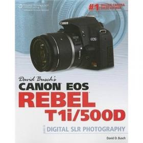 David Busch's Nikon D60 Guide to Digital SLR Photography