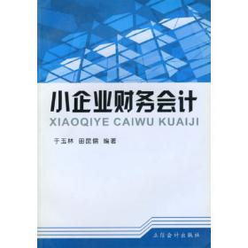 广义会计学：基于大会计总体结构的研究