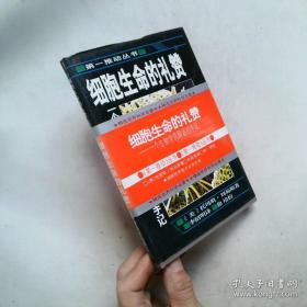 历史密档中的二战