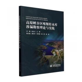 以人为核心的新型城镇化动力机制与路径重构研究 赵永平 等 著