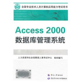 全国计算机应用能力考试用书：Excel  2007 中文电子表格