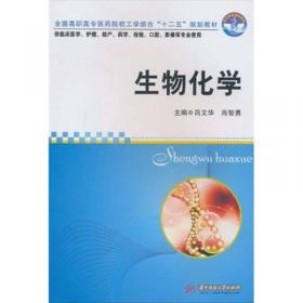 博雅汉语国际教育研究生用书：对外汉语教学语法讲义