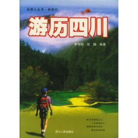 游历日本图经（套装共5册）/清末民初文献丛刊