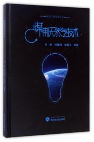 能源工程技术丛书：天然气水合物勘探开发关键技术研究