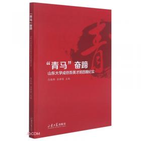 青马——回族当代文学典藏丛书