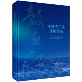 平潭海峡公铁大桥建造关键技术（第三册）