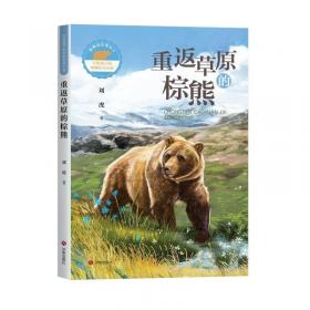 写给儿童的中国神话故事民间传说篇（全4册）彩图学生版6-9岁小学生课外阅读传统文化