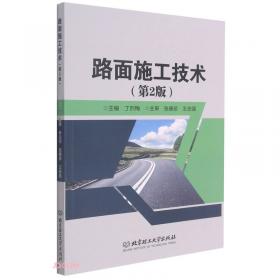 路面形貌数字化测量技术研究与应用