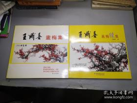 王成太极（下卷）