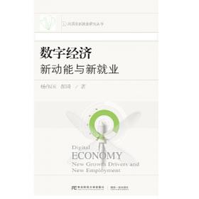 中国灵活用工发展报告（2022）多元化用工的效率、灵活性与合规