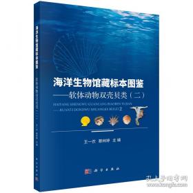 海洋静悄悄 大海深处有人家