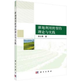 耕地保护的市场机制研究：基于耕地发展权交易与虚拟耕地战略视角