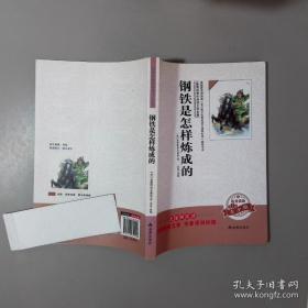 钢铁是怎样炼成的/新课标学生课外必读丛书