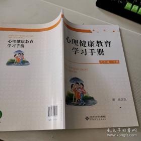 心理咨询与辅导专业理论与实务