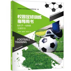 校园足球可持续发展研究:基于实践的探索