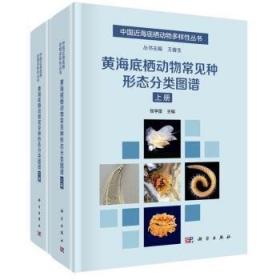 创新方法基础教程与应用案例