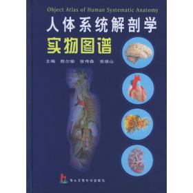 外科及断层影像应用解剖学（上海市研究生教学用书）