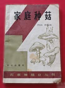 家庭消毒杀虫灭鼠技法