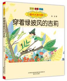 中国儿童文学走向世界：坡儿的夏天