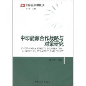 云南蓝皮书·2010~2011 南亚报告