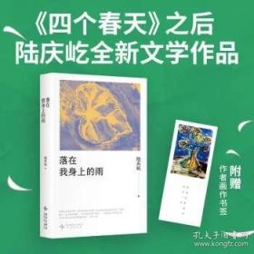 落在我身上的雨