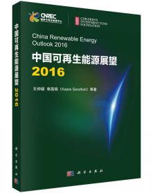 中国可再生能源产业发展报告2011（中英文版）