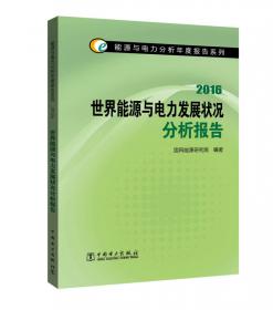 能源与电力分析年度报告系列  2016 中国发电能源供需与电源发展分析报告