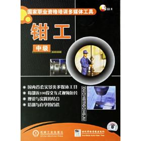 焊工技师（VCD）（2碟装）