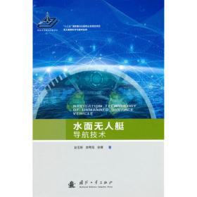 智能科学技术著作丛书：新兴元启发式优化方法