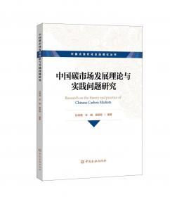 中国慈善组织内部治理研究